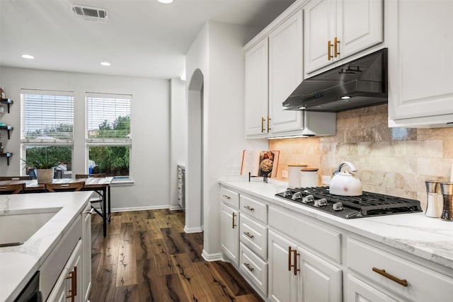 4539 Miraval Loop, Round Rock, TX 78665 - kitchen featuring gas stovetop, under cabinet range hood, arched walkways, decorative backsplash, and white cabinets