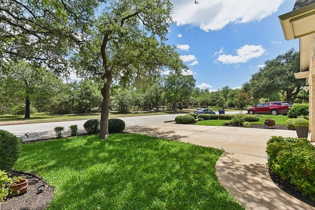 1224 Fall Creek Loop, Cedar Park, TX 78613 - view of green lawn with view of wooded area