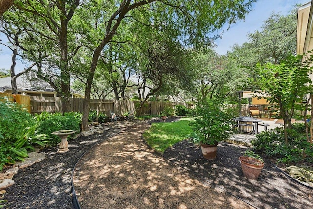 1224 Fall Creek Loop, Cedar Park, TX 78613 - fenced backyard featuring a patio