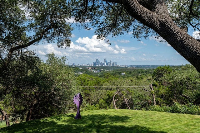 701 Terrace Mountain Dr, West Lake Hills, TX 78746 - view of green lawn featuring a skyline view