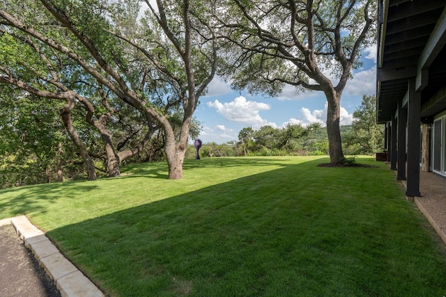 701 Terrace Mountain Dr, West Lake Hills, TX 78746 - view of grassy yard