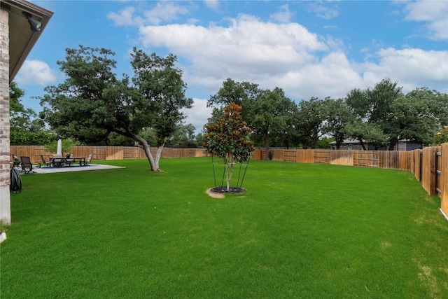 4644 Arques Ave, Round Rock, TX 78681 - fenced backyard featuring a patio