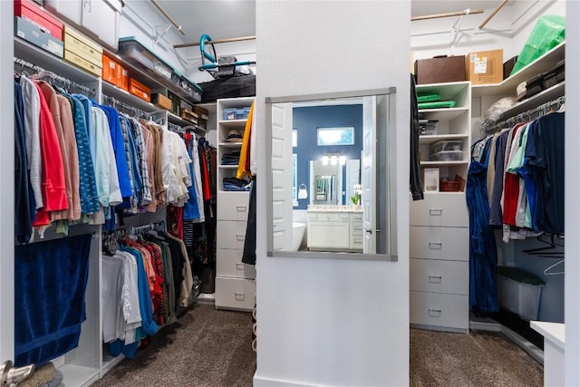 4644 Arques Ave, Round Rock, TX 78681 - spacious closet with carpet flooring
