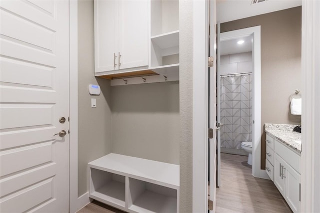 4644 Arques Ave, Round Rock, TX 78681 - mudroom with light wood-style flooring