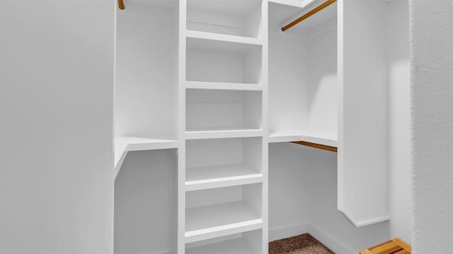 208 Rachel Loop, Burnet, TX 78611 - spacious closet featuring carpet floors