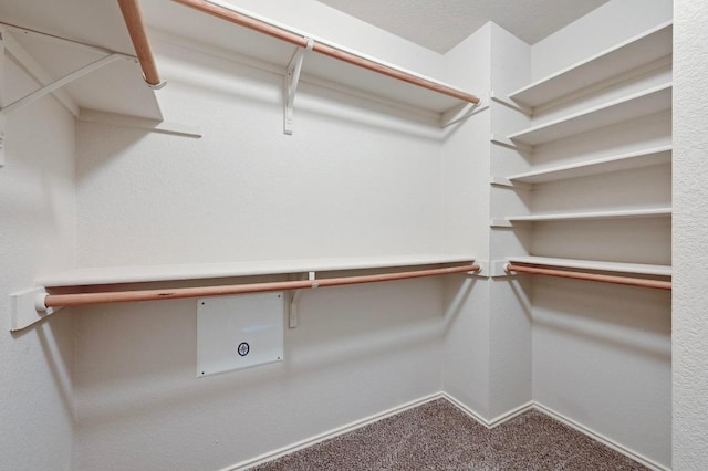 10421 Beard Ave, Austin, TX 78748 - walk in closet with carpet