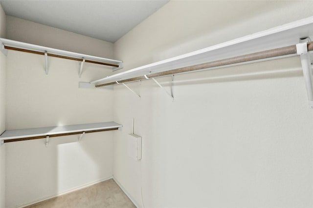 1212 Dove Cir, Cedar Park, TX 78613 - spacious closet featuring light colored carpet