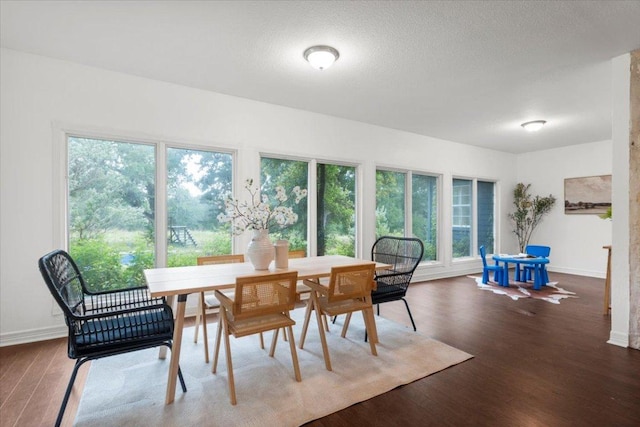 1109 Sherrill Ln, Lexington, TX 78947 - dining room featuring plenty of natural light and wood finished floors