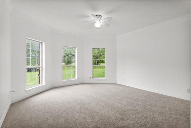 1109 Sherrill Ln, Lexington, TX 78947 - unfurnished room featuring carpet flooring, ornamental molding, and a ceiling fan