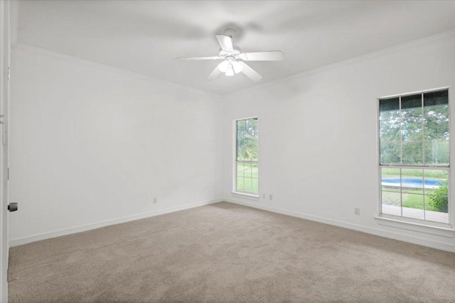 1109 Sherrill Ln, Lexington, TX 78947 - unfurnished room featuring crown molding, carpet, and a ceiling fan