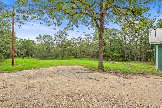 111 Sendero Blvd, Cedar Creek, TX 78612 - view of yard