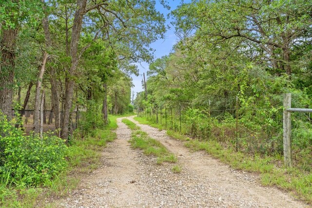 111 Sendero Blvd, Cedar Creek, TX 78612 - view of street featuring a wooded view