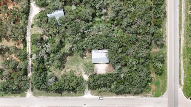 111 Sendero Blvd, Cedar Creek, TX 78612 - view of property location