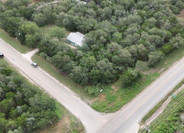111 Sendero Blvd, Cedar Creek, TX 78612 - bird's eye view