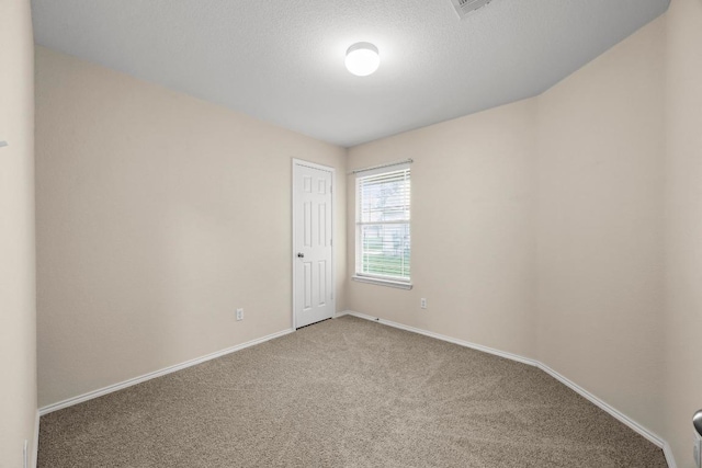 221 Foxglove Dr, Hutto, TX 78634 - photo 22