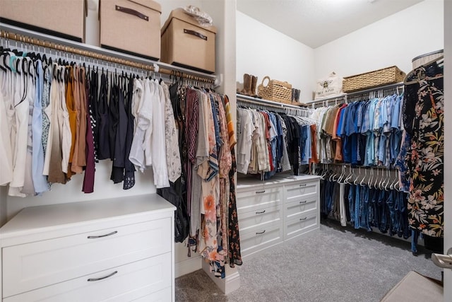 6708 Leonardo Dr, Round Rock, TX 78665 - spacious closet featuring carpet floors