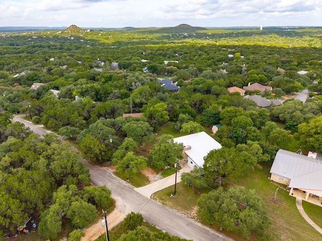 349 Scenic Way, Wimberley, TX 78676 - photo 30