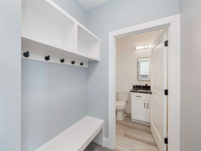 3013 Clark Ave, Lago Vista, TX 78645 - mudroom with light wood-type flooring