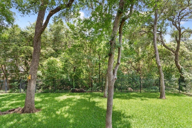 2802 Amber Forest Trl, Belton, TX 76513 - view of yard