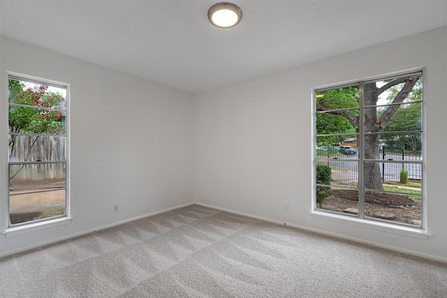 2616 Audubon Pl, Austin, TX 78741 - unfurnished room with light colored carpet and healthy amount of natural light