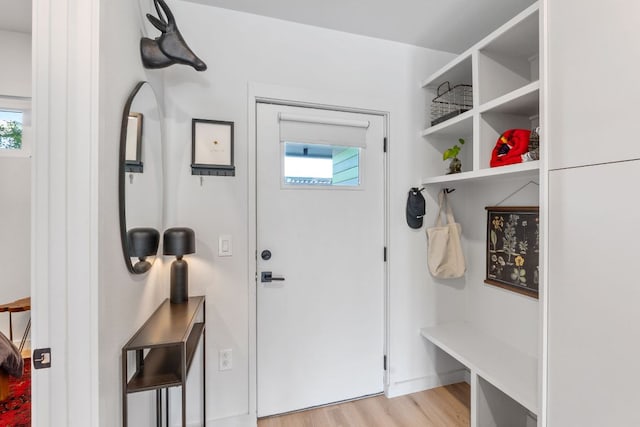 4004 Banister Ln Unit 105, Austin, TX 78704 - mudroom featuring light wood finished floors and plenty of natural light