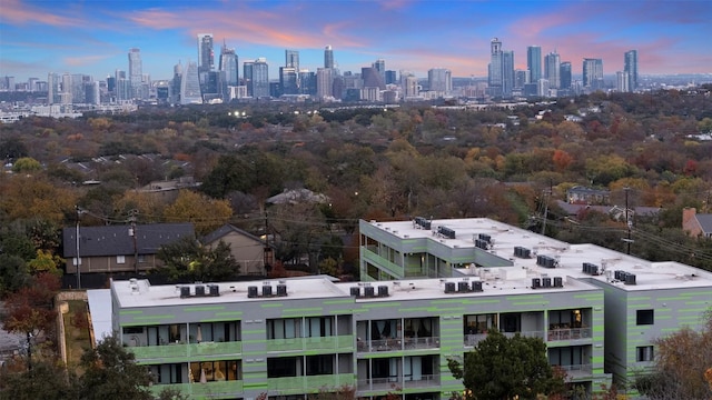 4004 Banister Ln Unit 105, Austin, TX 78704 - view of city skyline
