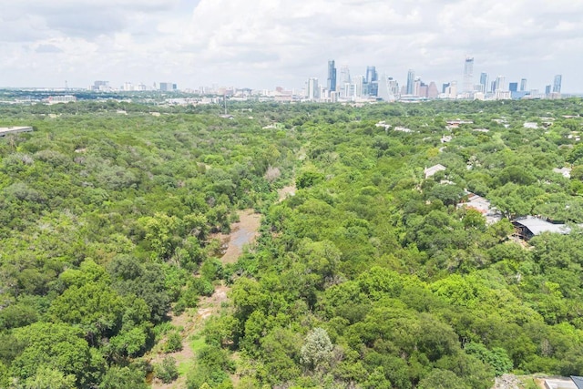 1703 Graywood Cv, Austin, TX 78704 - aerial view of skyline