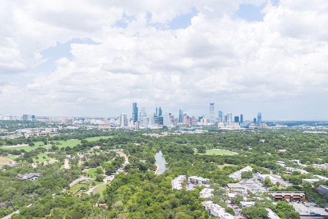 1703 Graywood Cv, Austin, TX 78704 - bird's eye view of skyline and a tree filled landscape