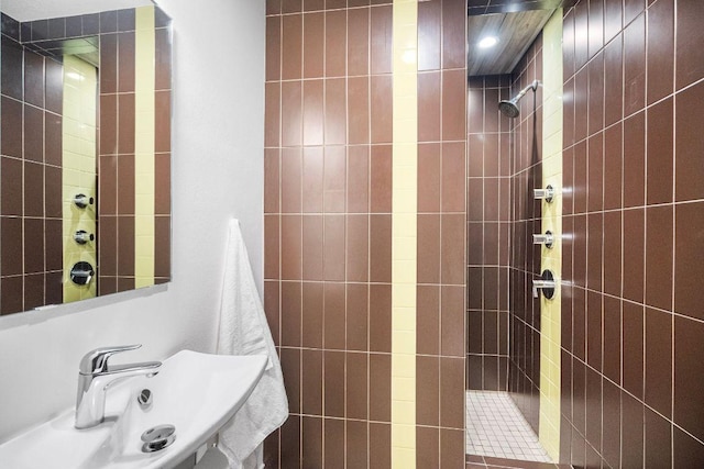1703 Graywood Cv, Austin, TX 78704 - full bathroom featuring walk in shower