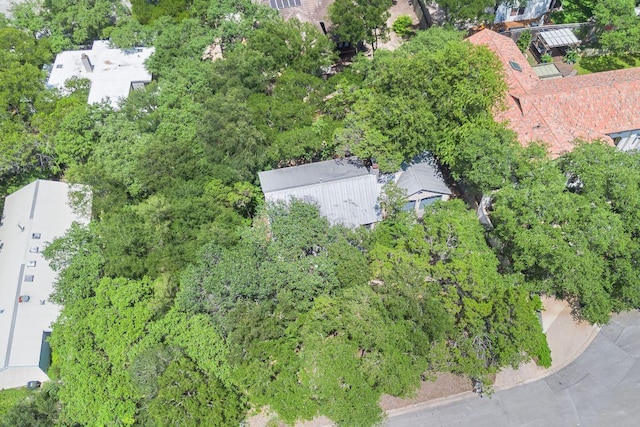 1703 Graywood Cv, Austin, TX 78704 - drone / aerial view