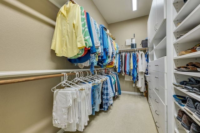 117 N Whitley Dr, Austin, TX 78738 - spacious closet featuring carpet