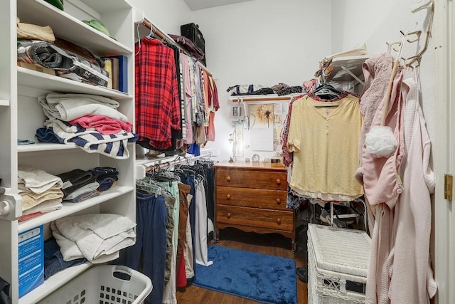210 Buoy Cir, Georgetown, TX 78633 - spacious closet with wood finished floors