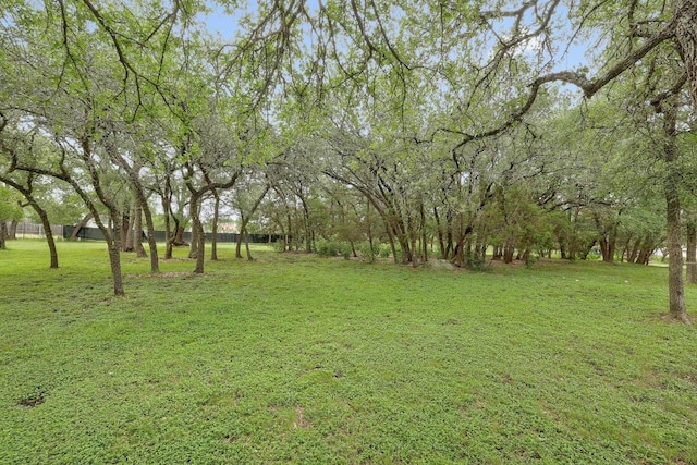 210 Buoy Cir, Georgetown, TX 78633 - view of grassy yard