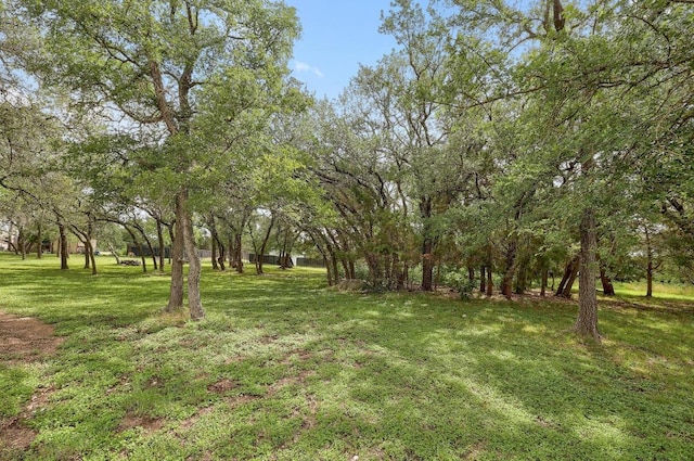 210 Buoy Cir, Georgetown, TX 78633 - view of grassy yard