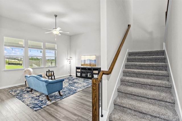 531 Sue Peaks Loop, Dripping Springs, TX 78620 - photo 23