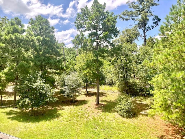 108 W Keamuku Ct, Bastrop, TX 78602 - view of nature