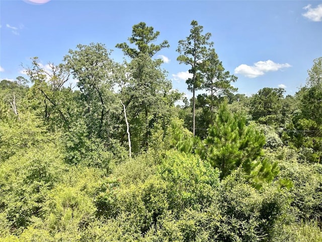 108 W Keamuku Ct, Bastrop, TX 78602 - view of tree filled area