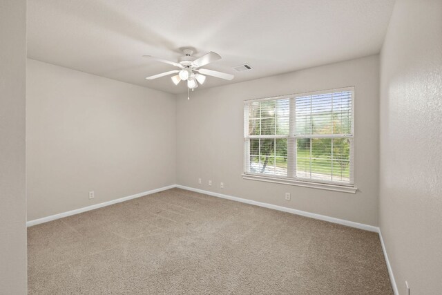 2732 Cascade Falls Dr, Austin, TX 78738 - photo 29