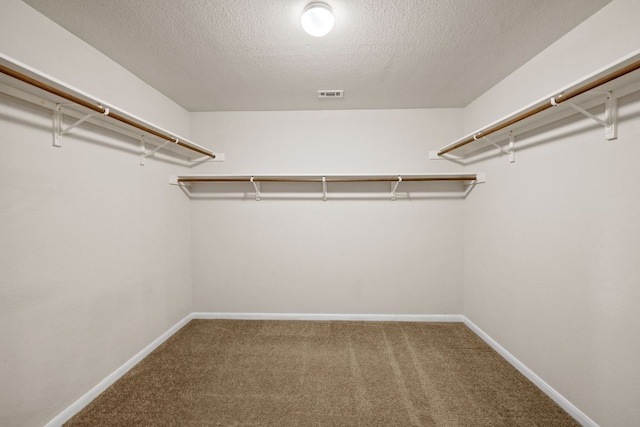 2732 Cascade Falls Dr, Austin, TX 78738 - walk in closet with carpet