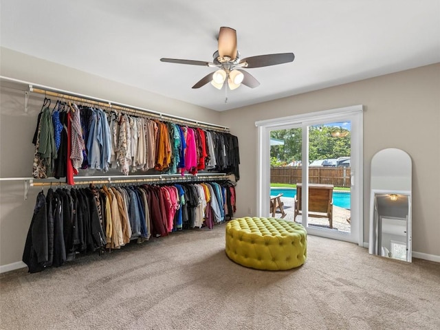 walk in closet featuring carpet flooring and a ceiling fan
