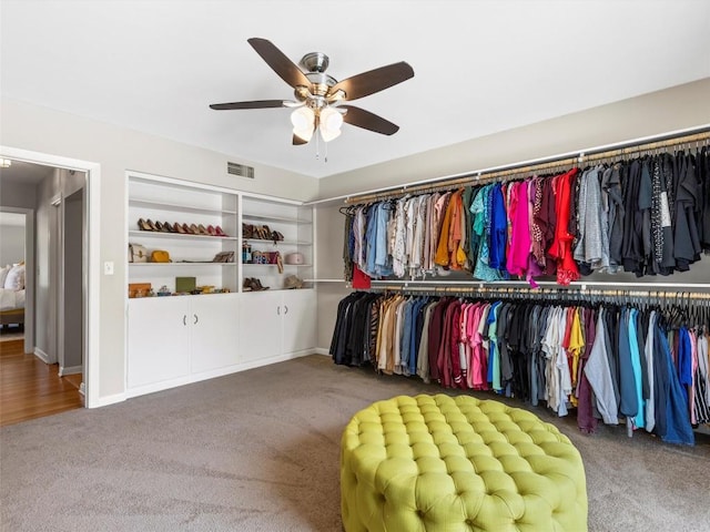 walk in closet featuring carpet flooring and ceiling fan