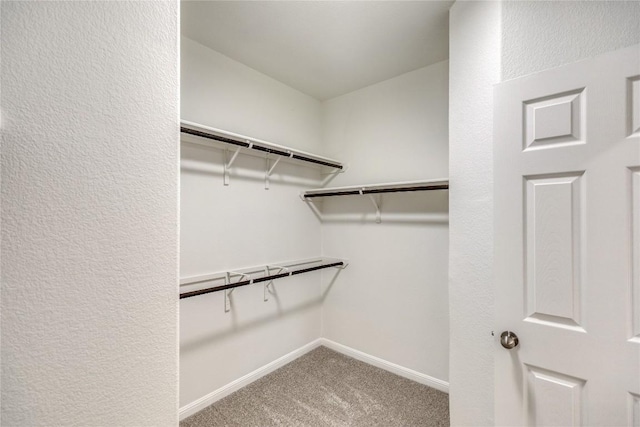 5817 Loblolly Ln Unit 69, Austin, TX 78744 - photo 30