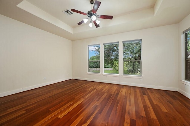 105 Outcrop View Ln, Austin, TX 78738 - unfurnished room with a tray ceiling, plenty of natural light, wood-type flooring, and ceiling fan