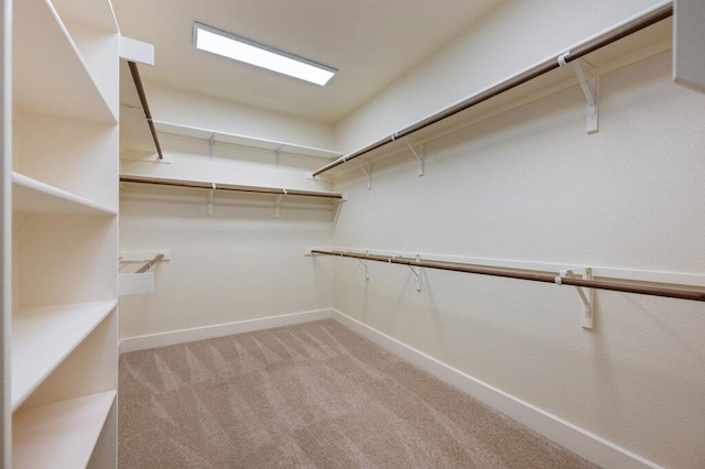 105 Outcrop View Ln, Austin, TX 78738 - spacious closet with light carpet