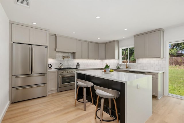 1101 Floradale Dr, Austin, TX 78753 - kitchen with high end appliances, gray cabinetry, light wood-type flooring, healthy amount of natural light, and recessed lighting
