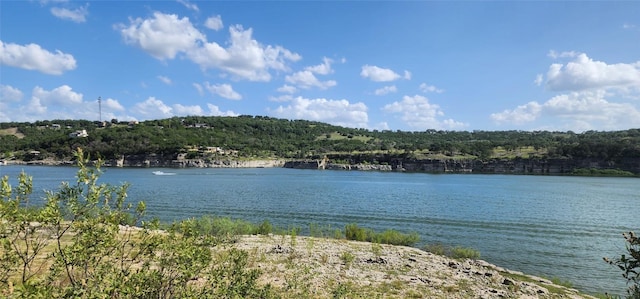 21411 Cardinal Ave, Lago Vista, TX 78645 - photo 6
