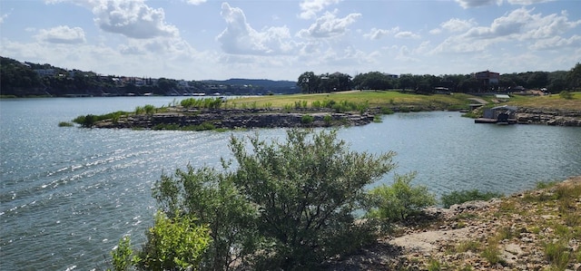 21411 Cardinal Ave, Lago Vista, TX 78645 - photo 7