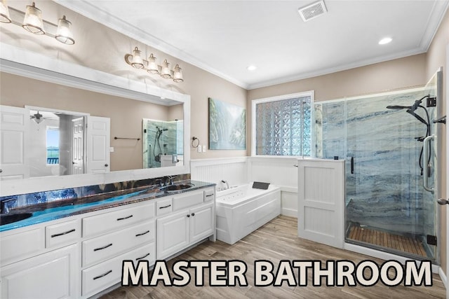15020 Hero Way W, Leander, TX 78641 - bathroom with a marble finish shower, a garden tub, double vanity, ornamental molding, and a wainscoted wall
