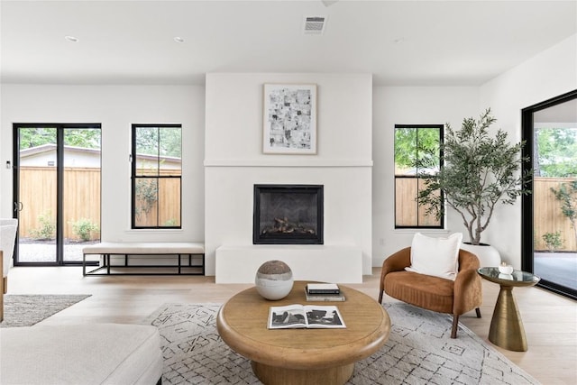 1703 Madison, Austin, TX 78757 - living room featuring wood finished floors and a glass covered fireplace