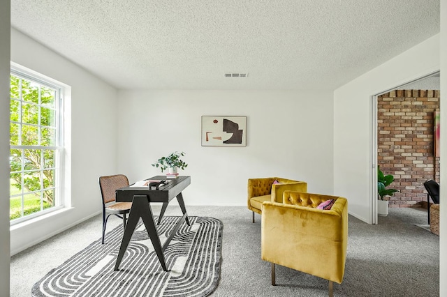 4009 Cordova Dr, Austin, TX 78759 - office area with carpet floors and a textured ceiling